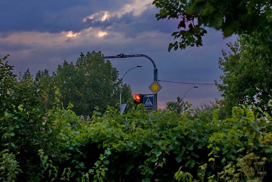 rot (es wird regen?)
