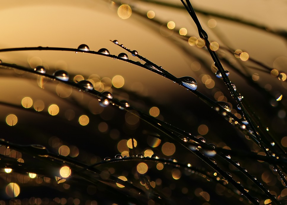 In der untergehenden Sonne sanft schmelzende ein Tropfen auf den Wind gespielt ...