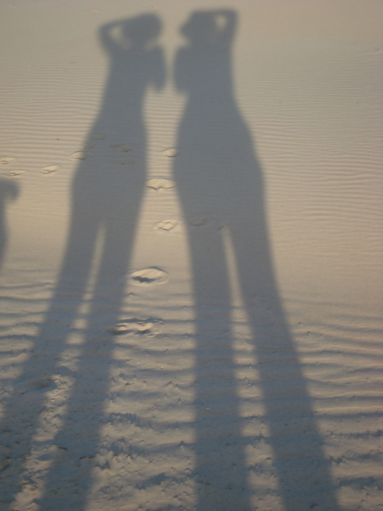 Wo sind unsere Besitzer ...