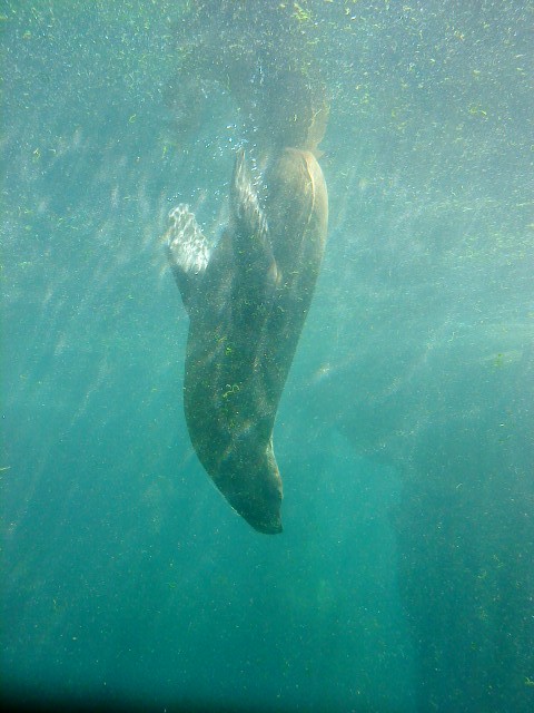 Weiter znachet down!