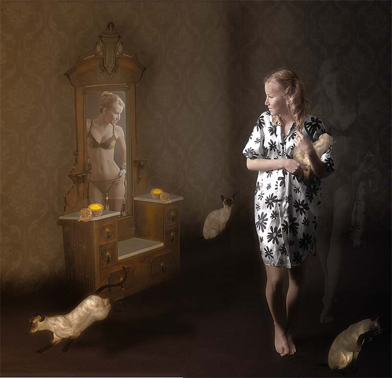 Dream über Katzen ....