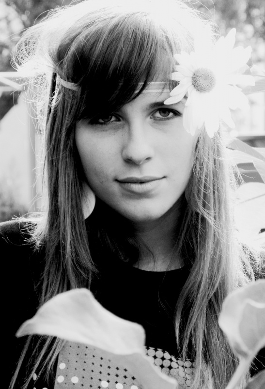 weichen Gänseblümchen