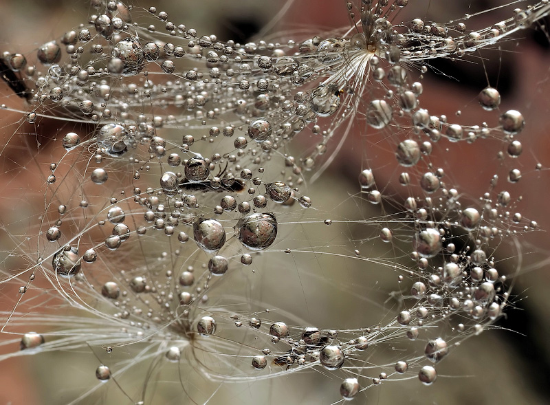 Die Abhängigkeit ..