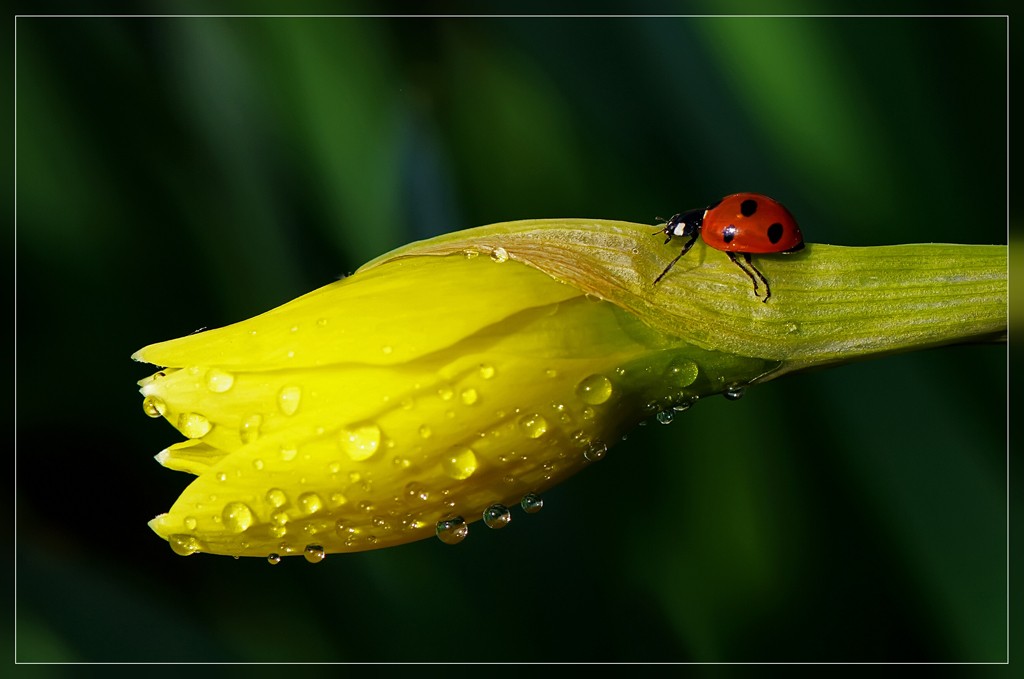 Schwere Last in der Liebe ...