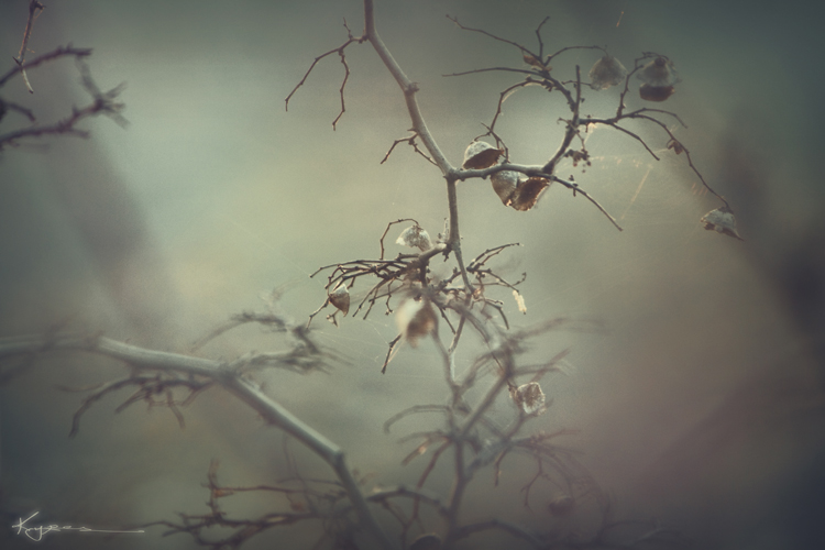 Sinn des Schweigens ...