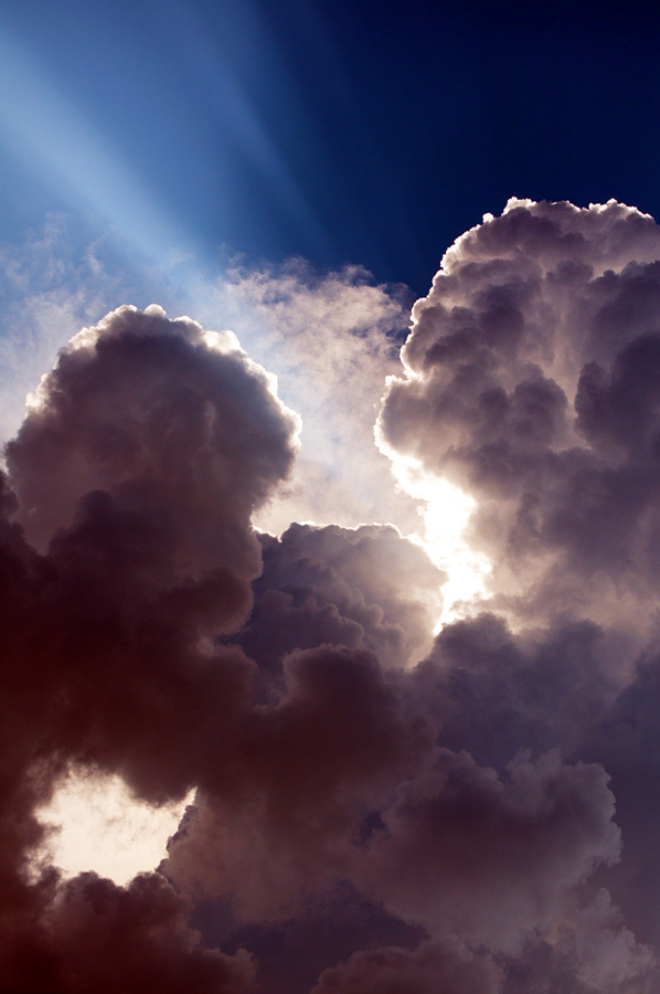 # 236. Wiederbelebung