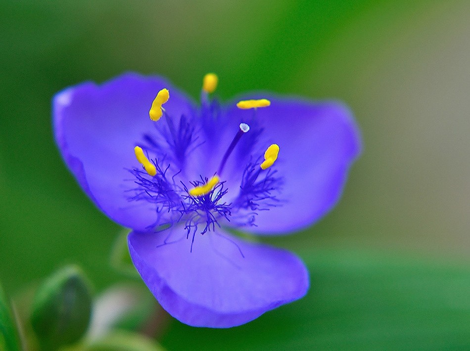 So, don't be afraid to let them show youre true colours....are beautiful like a rainbow...:)))