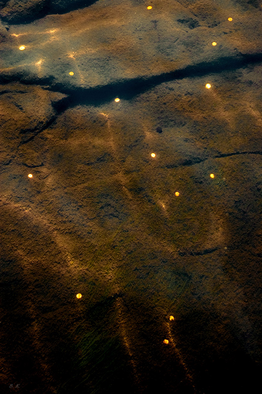 Hoffnung auf Rückkehr