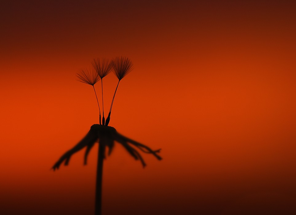 Ein Date zu dritt ... Ist es möglich ...