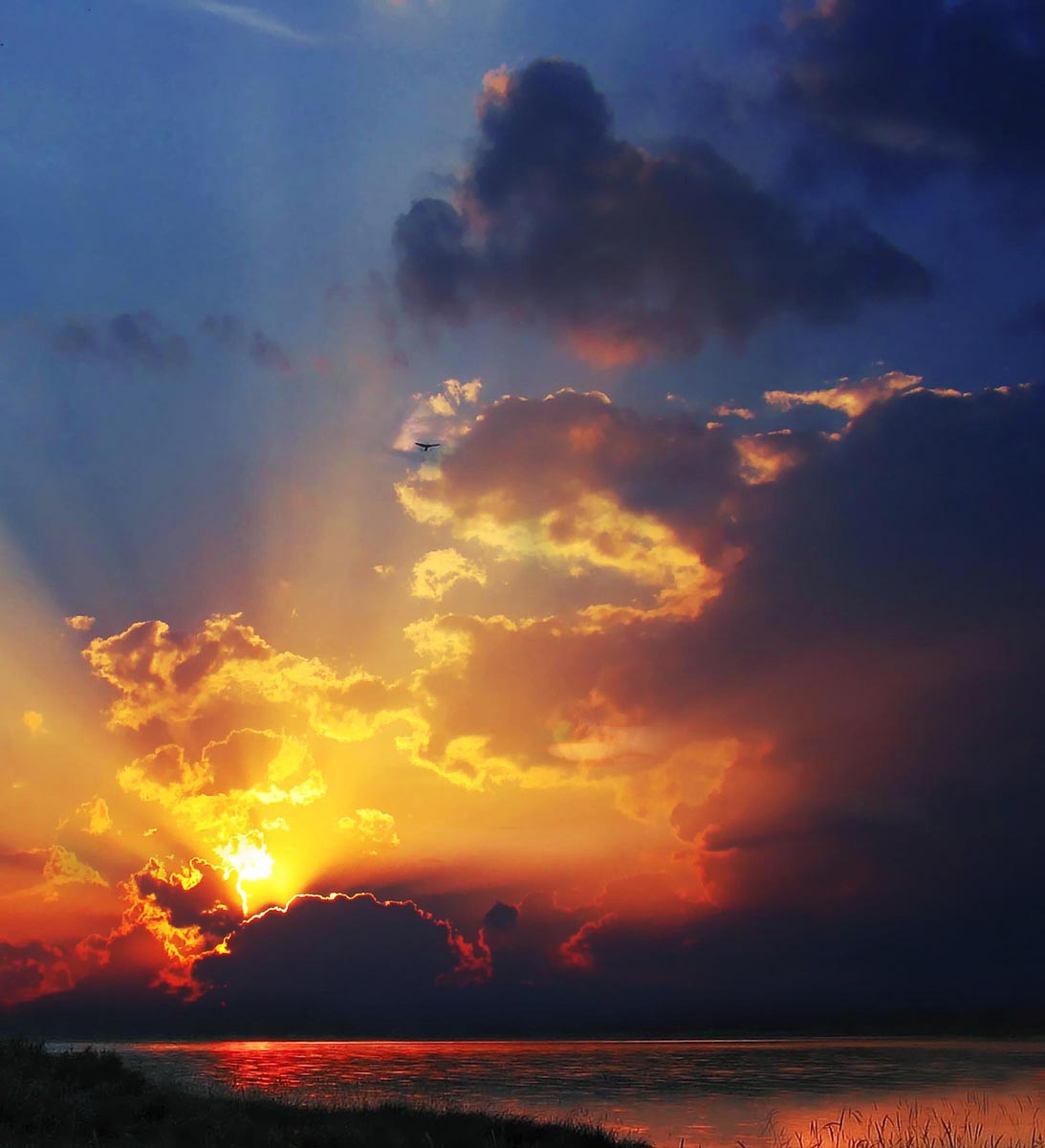 alarmierender Rückgang