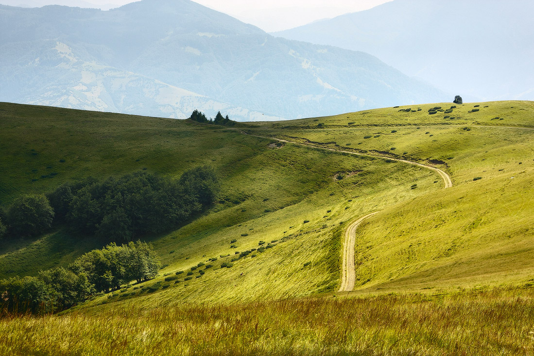 Über den Weg an die Spitze