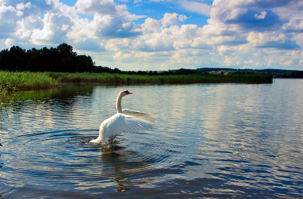 Auf dem Weg zu den Wolken