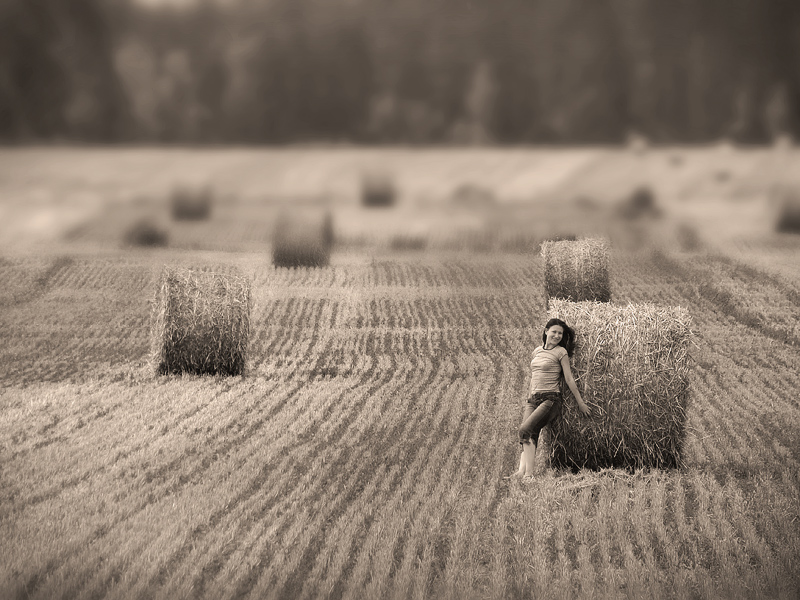 Heißer Sommer ......... .........
