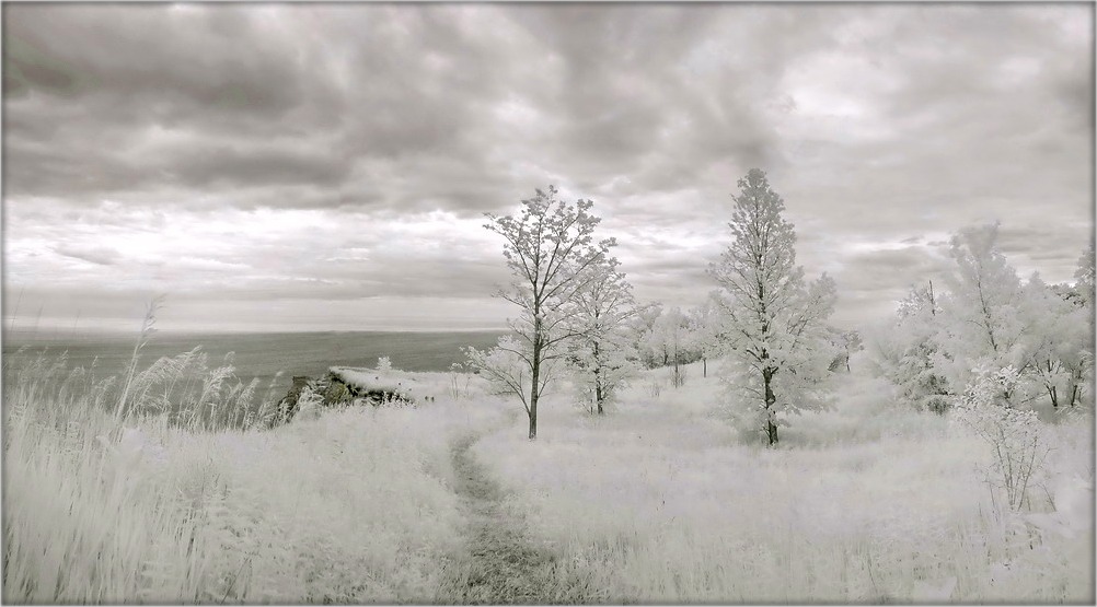 Wintersommernachtstraum