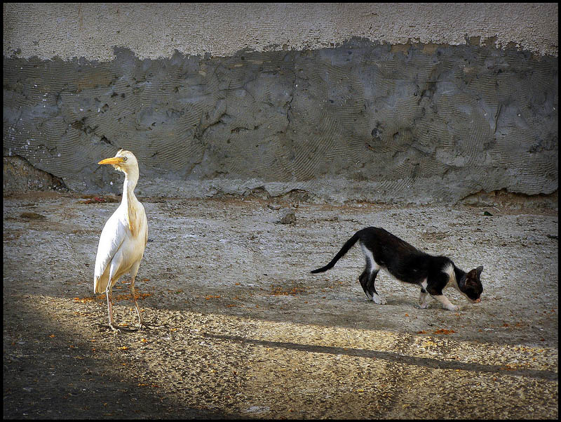 Gemeinschaftsverpflegung