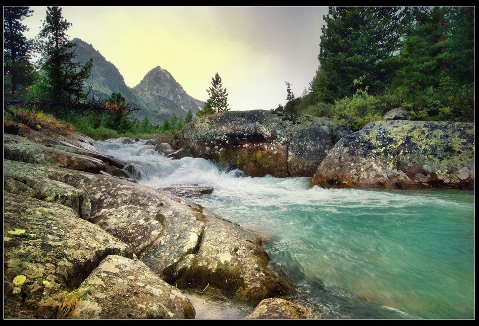 Am Ufer des Flusses ein Smaragd