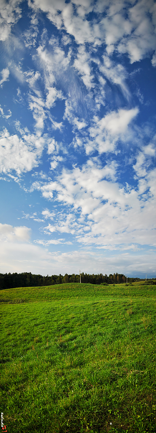Braslavsky Stück Kuchen