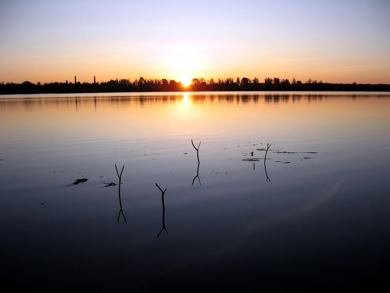 Morgen auf dem Fluss