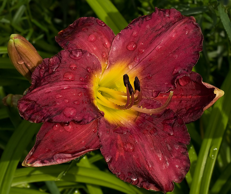 Regen pokapal und weitergegeben ...