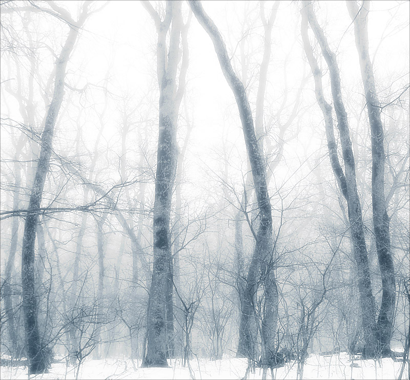 so weit ... Februar ...