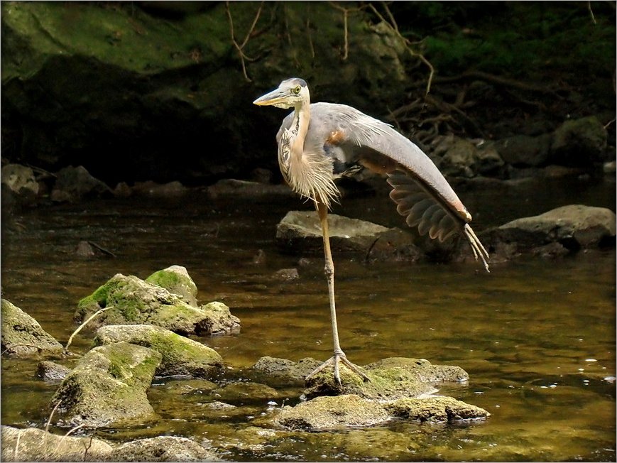 Ballett .. Ballett .. Ballett ..