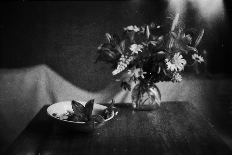 fiel im letzten Jahr Schnee