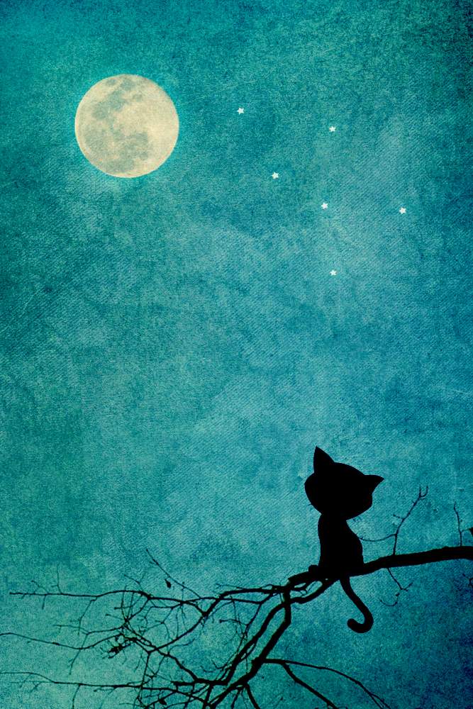 Er liebte es, den Mond zu betrachten