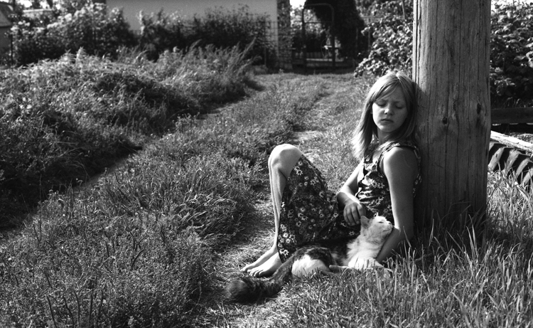 Wind und Sonne im August