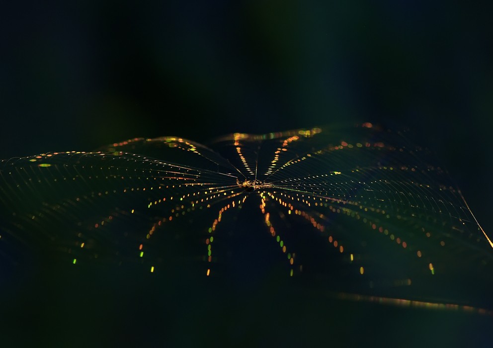 Zitternd Saiten im Wind, Musizieren Sonnenuntergang ...