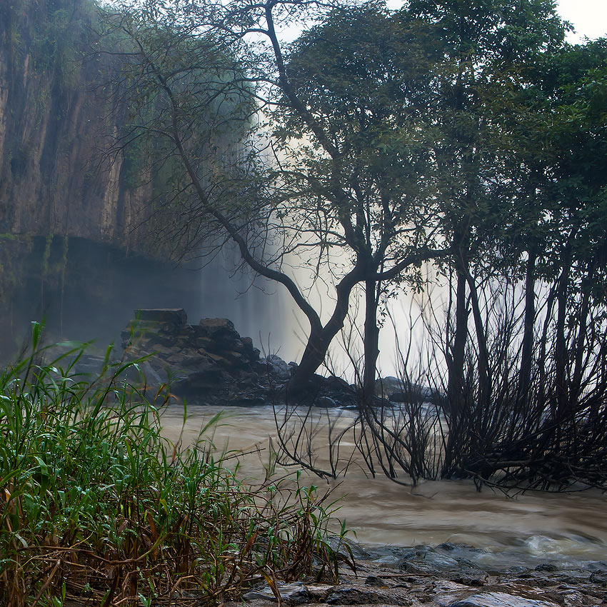 Irgendwo in den Dschungel. Vietnam № 4