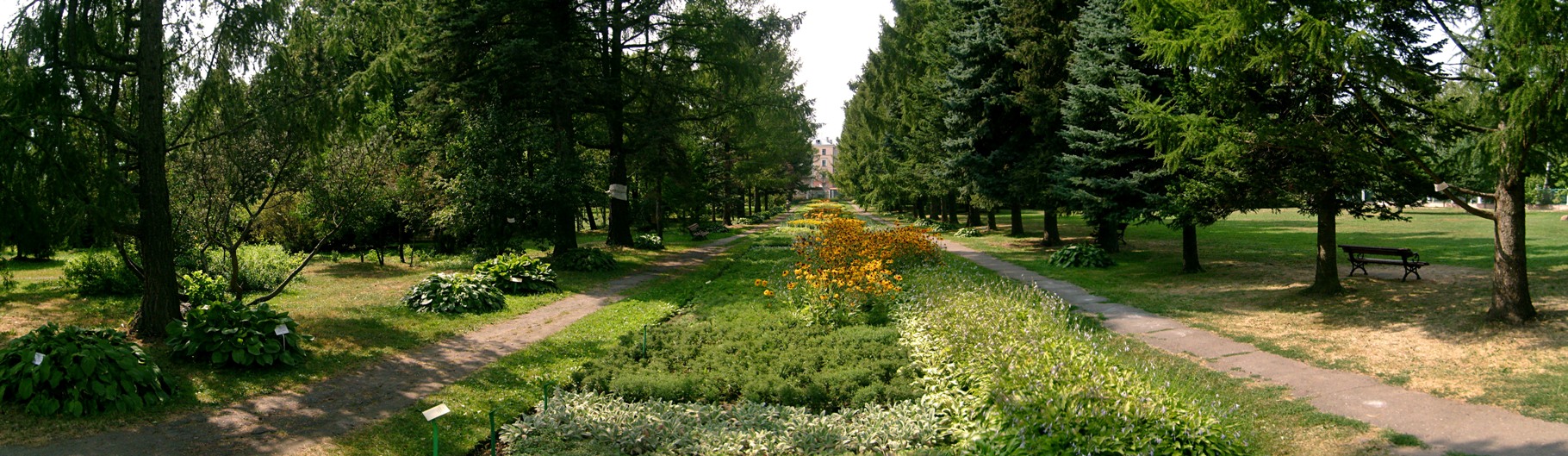 Im botanischen Garten