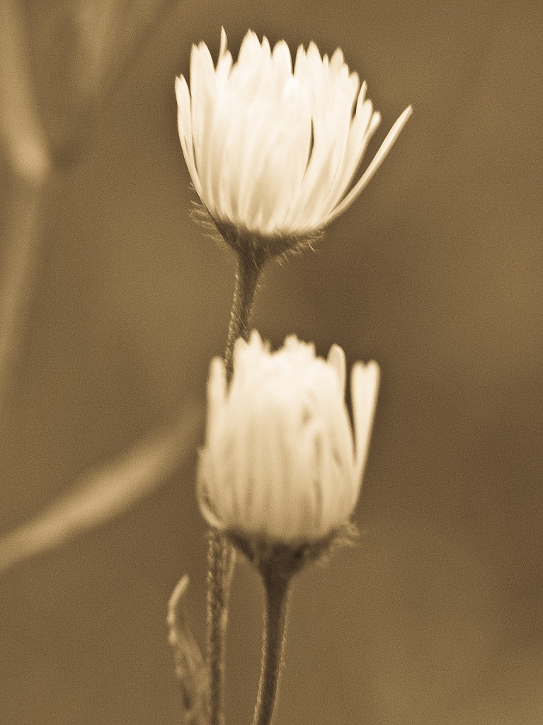 Einsamkeit ist nicht