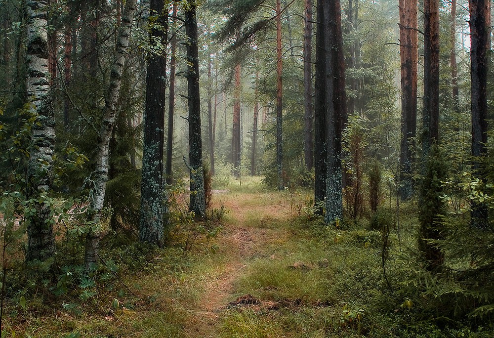 Ich schlage vor zu gehen ...