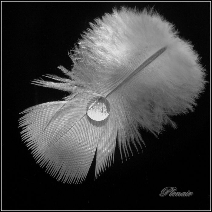 Nocturne für den Stift und Tränen