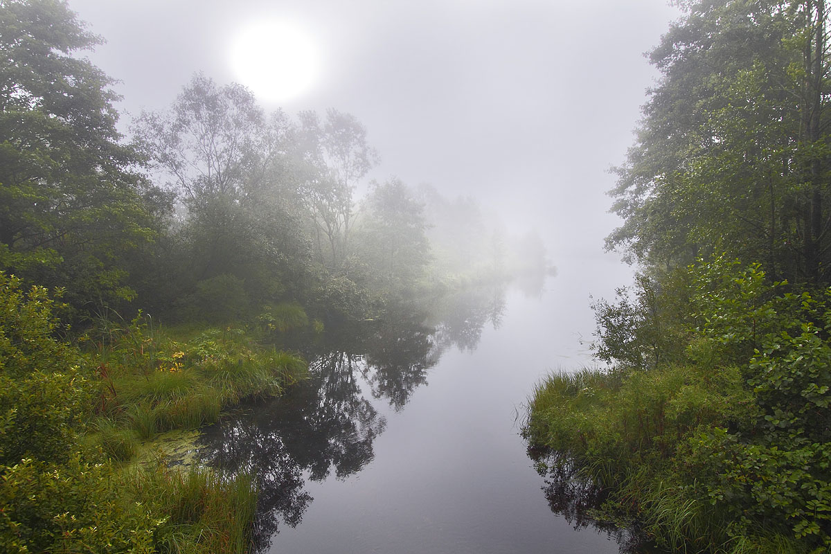 Manifestation der Sonne