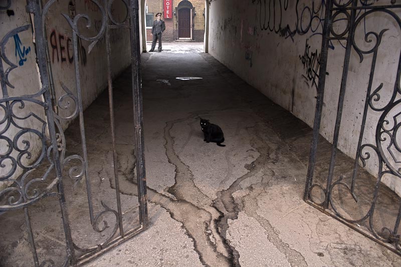 Maus funktioniert nicht entgehen!