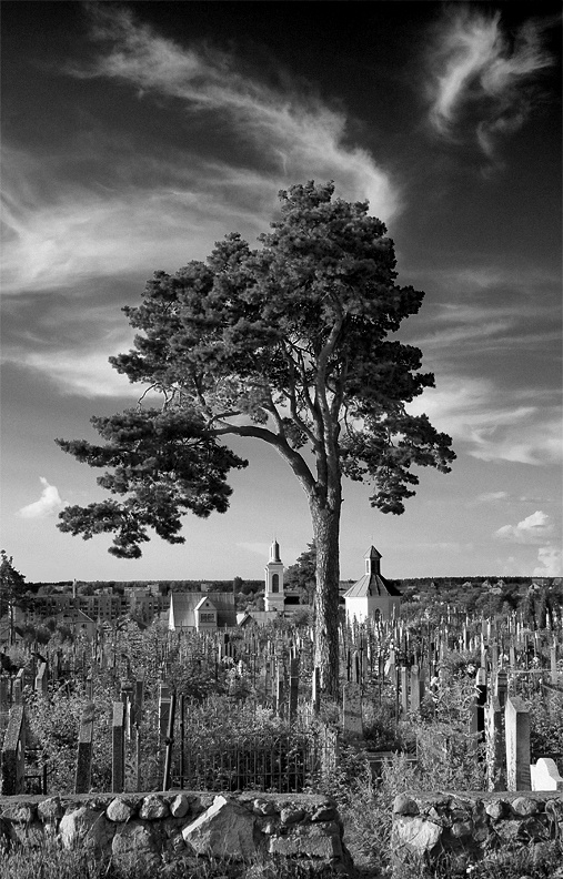 Kreislauf des Lebens (remix)