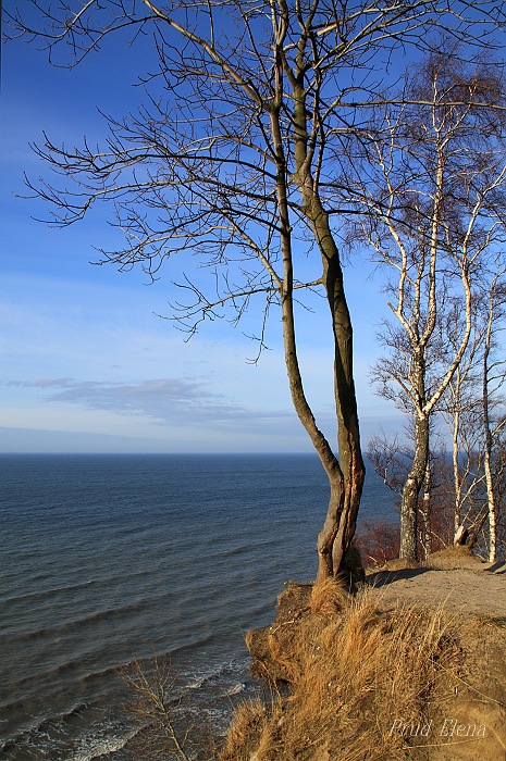 Auf den sieben Winden.