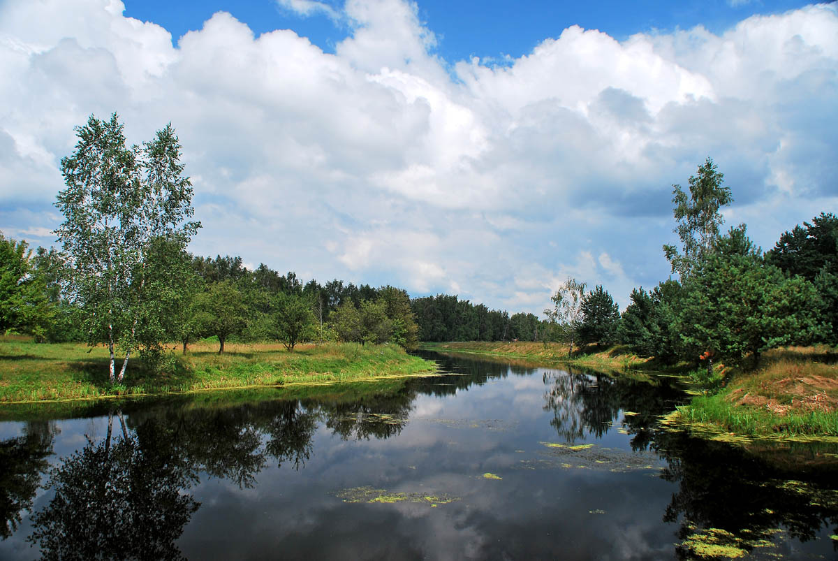 Polesskii Landschaft