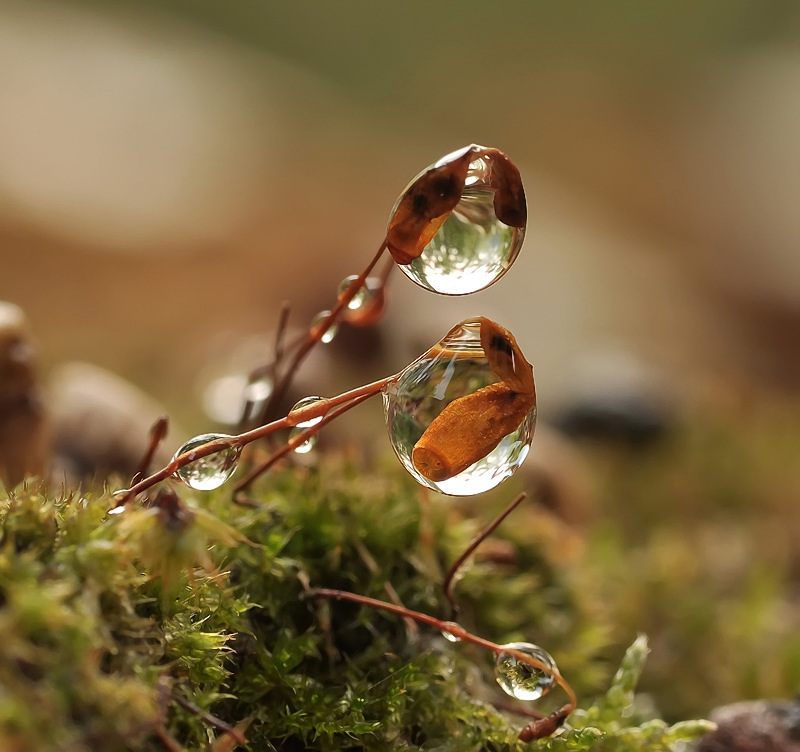 Zimmer mit verschroben ..