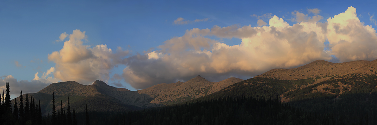 Abends. Ridge Tiger-Tysh.