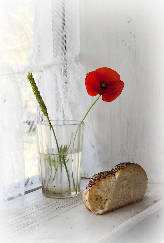 Crust mit einer Mohnblume