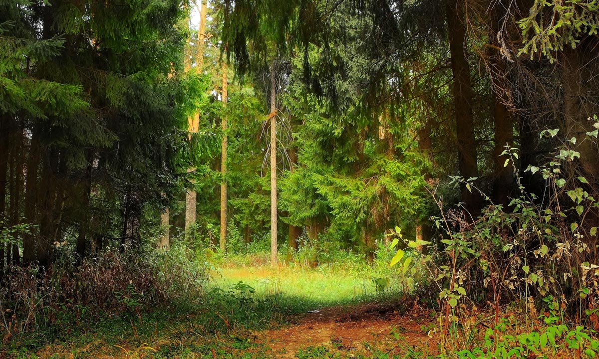 Fenster in einem Märchen