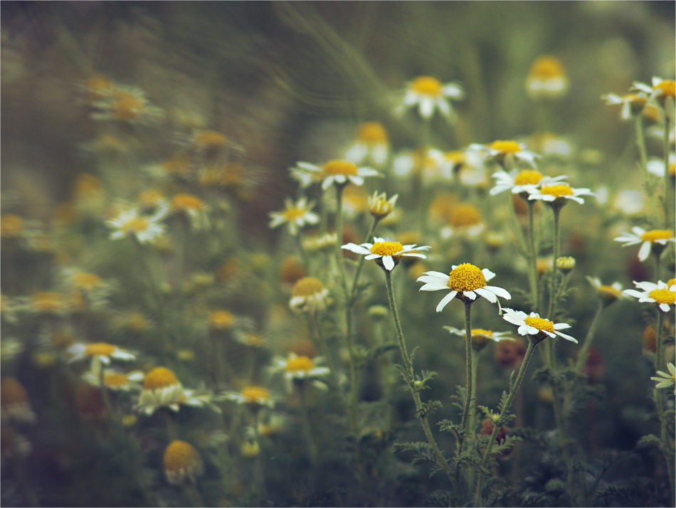 Gespenster im August ...