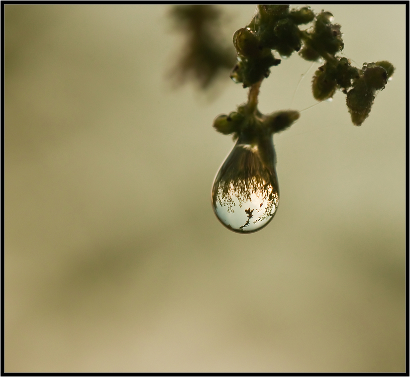 Wahrscheinlich, weil die Universen geboren werden ...