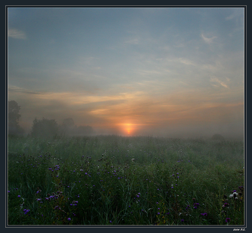 Auf der Suche nach Stille