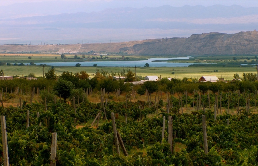 Jeder Winzer muss wissen ..