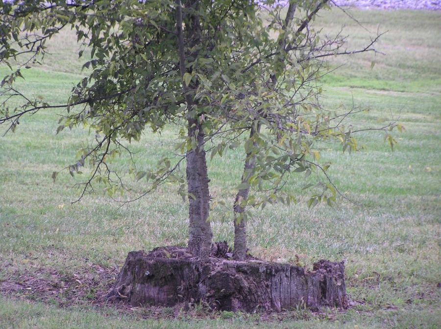 Wir haben uns, wir haben einen neuen ...