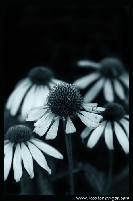 Uh-x wurde ein Jugend ...