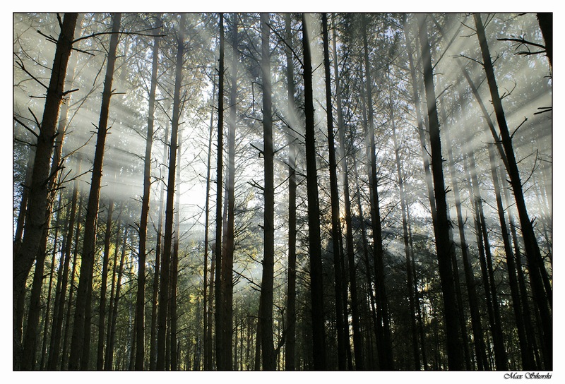 Auf dem Weg zu einem neuen Tag